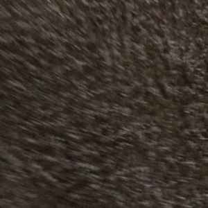 Meet your Posher, Aria